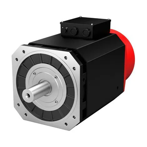 Servo spindle motor, Z18 series